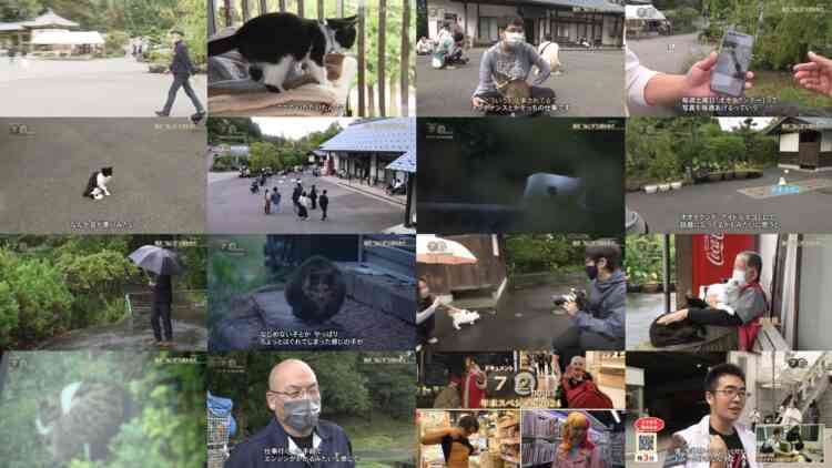 241027 Document 72 Hours – ex-AKB48 Kawaei Rina [Narration] – HD.mp4