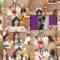 241031 Nekojita SHOWROOM – Nogizaka46 Tamura Mayu, Kanagawa Saya, Hayashi Runa, Kuromi Haruka – FHD.mp4