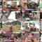 241031 ZIP! – ex-SKE48 Goto Rara Cut – FHD.mp4