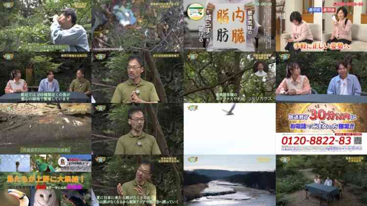 241102 TShinka no Kiseki – ex-AKB48 Oya Shizuka – HD.mp4