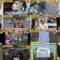 241103 Ie, Tsuite Itte ii Desu ka – ex-Sakurazaka46 Sugai Yuuka – HD.mp4