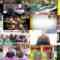 241103 Nettou! M League – ex-SKE48 Suda Akari – HD.mp4