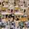 241103 Serious Challenge Idols Take On English Conversation, Baking Sweets, And Ballroom Dancing For The First Time In Their Lives! – AKB48 Narita Kahime, Ito Momoka, Hanada Ai – FHD.mp4