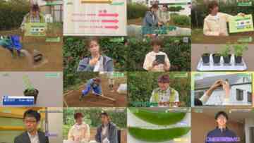 241103 Syumi no Engei Yasai no Jikan – ex-AKB48 Oya Shizuka – HD.mp4