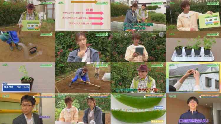 241103 Syumi no Engei Yasai no Jikan – ex-AKB48 Oya Shizuka – HD.mp4