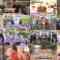 241107 Ningen Kansatsu Variety Monitoring – ex-AKB48 Noro Kayo, Itano Tomomi – HD.mp4