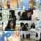 241108 Ijime wo Knock Out – ex-AKB48 Takahashi Minami – HD.mp4