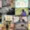 241111 Ijin no Nenshuu How much – ex-Nogizaka46 Yamazaki Rena – HD.mp4