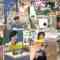 241113 Hamachanga! – ex-AKB48 Shinoda Mariko – HD.mp4