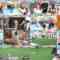 241113 LOVE it! – Sakurazaka46 Endo Riko, Moriya Rena – HD.mp4