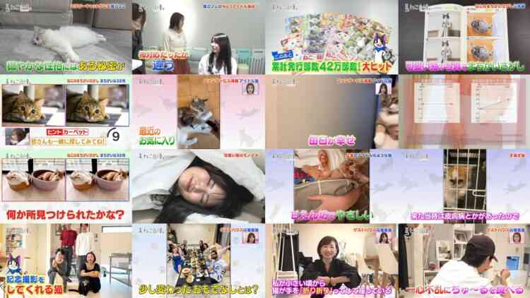 241113 Neko Jiman – ex-AKB48 Takahashi Minami, Kuramochi Asuka – HD.mp4