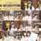 241119 Kayou wa JOY Don! – Nearly Equal JOY – FHD.mp4