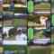 241120 GOLF JOKER 61 – ex-Sakurazaka46 Harada Aoi – HD.mp4