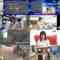 241122 NHK Koukoukoza Information I – Hinatazaka46 Shogenji Yoko – HD.mp4