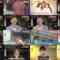 241123 Come Come Everybody – ex-AKB48 Kawaei Rina – HD.mp4