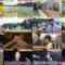 241124 Chou Muteki Class – ex-HKT48 Sashihara Rino – HD.mp4