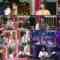 241125 Chou Nogizaka Star Tanjou! 67 – FHD.mp4
