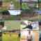 241127 GOLF JOKER – ex-Sakurazaka46 Harada Aoi – HD.mp4