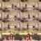 241105 NATSLIVE – Hatagon Cheese Gohan 20 – ex-SKE48 Takahata Yuki – FHD.mp4