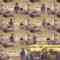 241121 NATSLIVE – Sarapiriri Gohan 22 – STU48 Yoshida Sara – FHD.mp4