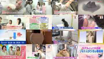 241130 Neko Jiman – ex-AKB48 Takahashi Minami, Kuramochi Asuka – HD.mp4