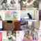 241130 Neko Jiman – ex-AKB48 Takahashi Minami, Kuramochi Asuka – HD.mp4