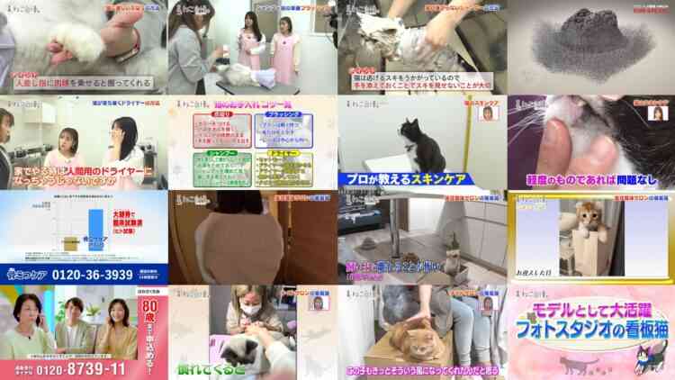 241130 Neko Jiman – ex-AKB48 Takahashi Minami, Kuramochi Asuka – HD.mp4