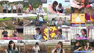 241130 Nogizaka Otameshi-chuu 46 – FHD.mp4
