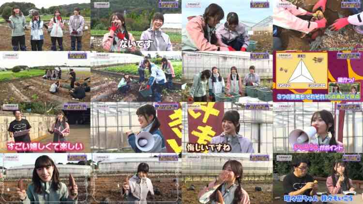 241130 Nogizaka Otameshi-chuu 46 – FHD.mp4