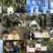 241130 Venue 101 – ex-Nogizaka46 Ikuta Erika – HD.mp4