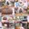 241203 Mezamashi TV – AKB48 Oguri Yui Cut – FHD.mp4