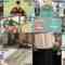 241209 Ijin no Nenshuu How much – ex-Nogizaka46 Yamazaki Rena – HD.mp4