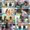241209 ex-Nogizaka46 Shiraishi Mai TV News – ZIP! – FHD.mp4