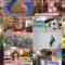 241212 Naze Soko – ex-Nogizaka46 Akimoto Manatsu – HD.mp4