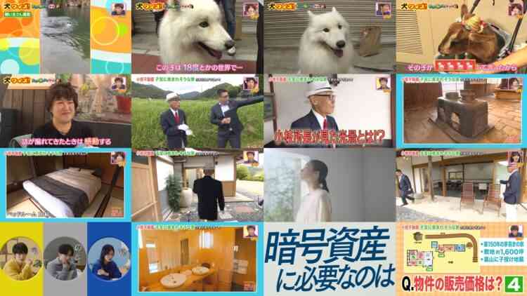 241214 Doyou wa Dameyo! – NMB48 Sakata Misaki, Deguchi Yuina – HD.mp4