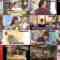 241215 Gyouretsu no Dekiru Houritsu Soudanjou – ex-Nogizaka46 Shiraishi Mai, Ichiki Rena – HD.mp4