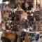241220 Shin YNN NMB48 CHANNEL – GSGK18 Genchi Shuugou Genchi Kaisan 3 – FHD.mp4
