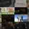 241221 Doyou Ohiru no Mystery – ex-AKB48 Shinoda Mariko – HD.mp4