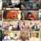 241222 Nichiyou wa Colorful 2 Tenshi Edition – ex-HKT48 Murashige Anna – HD.mp4