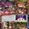 241223 Chou Nogizaka Star Tanjou! 71 – FHD (Hulu Ver).mp4
