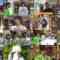241224 Sore Yuke! Omiya Seven – AKB48 Sakagawa Hiyuka – HD.mp4