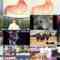 241229 Toshi Matagi Sport Matsuri 2750 – Nogizaka46 Matsuo Miyu – HD.mp4