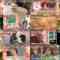 241230 Masaka no Icchome Ichibanchi – AKB48 – HD.mp4