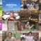 250102 Himitsu no Kenmin SHOW Kiwami! – Nogizaka46 Sato Rika – HD.mp4