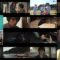250103 Juukakukan no Satsujin – The Decagon House Murders – HD.mp4