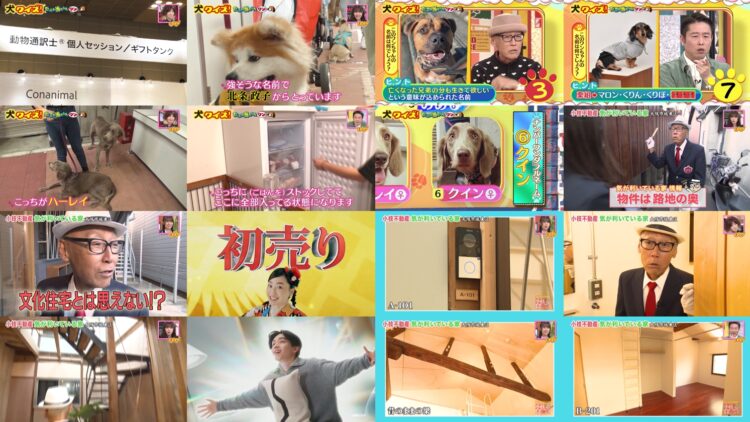 250104 Doyou wa Dameyo! – NMB48 Sakata Misaki, Deguchi Yuina – HD.mp4