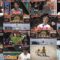 250105 [Yamato Jisho Special Chou Pro Yagu ULTRA] 12 Kyuudan Star Dai Shuuketsu! – ex-Nogizaka46 Matsumura Sayuri – HD.mp4