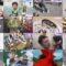 250106 Hazimete no Tsukai Shinshun! – ex-AKB48 Kawaei Rina – HD.mp4