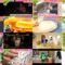 250107 NONSTOP! – Nogizaka46 Yamashita Mizuki – HD.mp4