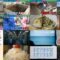 250107 Sandwich-Man no Shibuya ni Ido wo Horu! Sunday Night – ex-AKB48 Minegishi Minami & ex-HKT48 Murashige Anna – HD.mp4